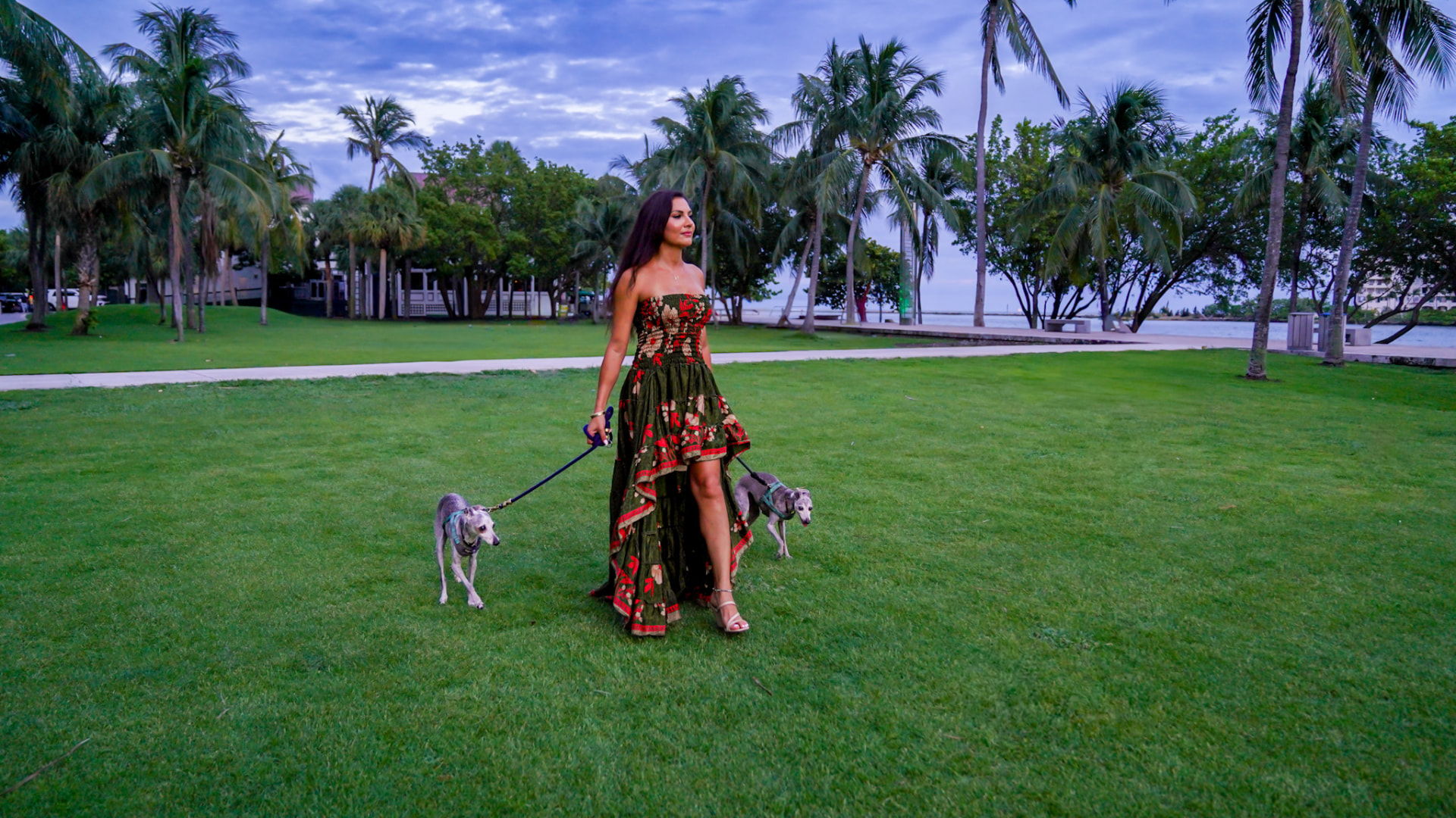 Elmira walking her two greyhounds across the lawn at South Pointe Park