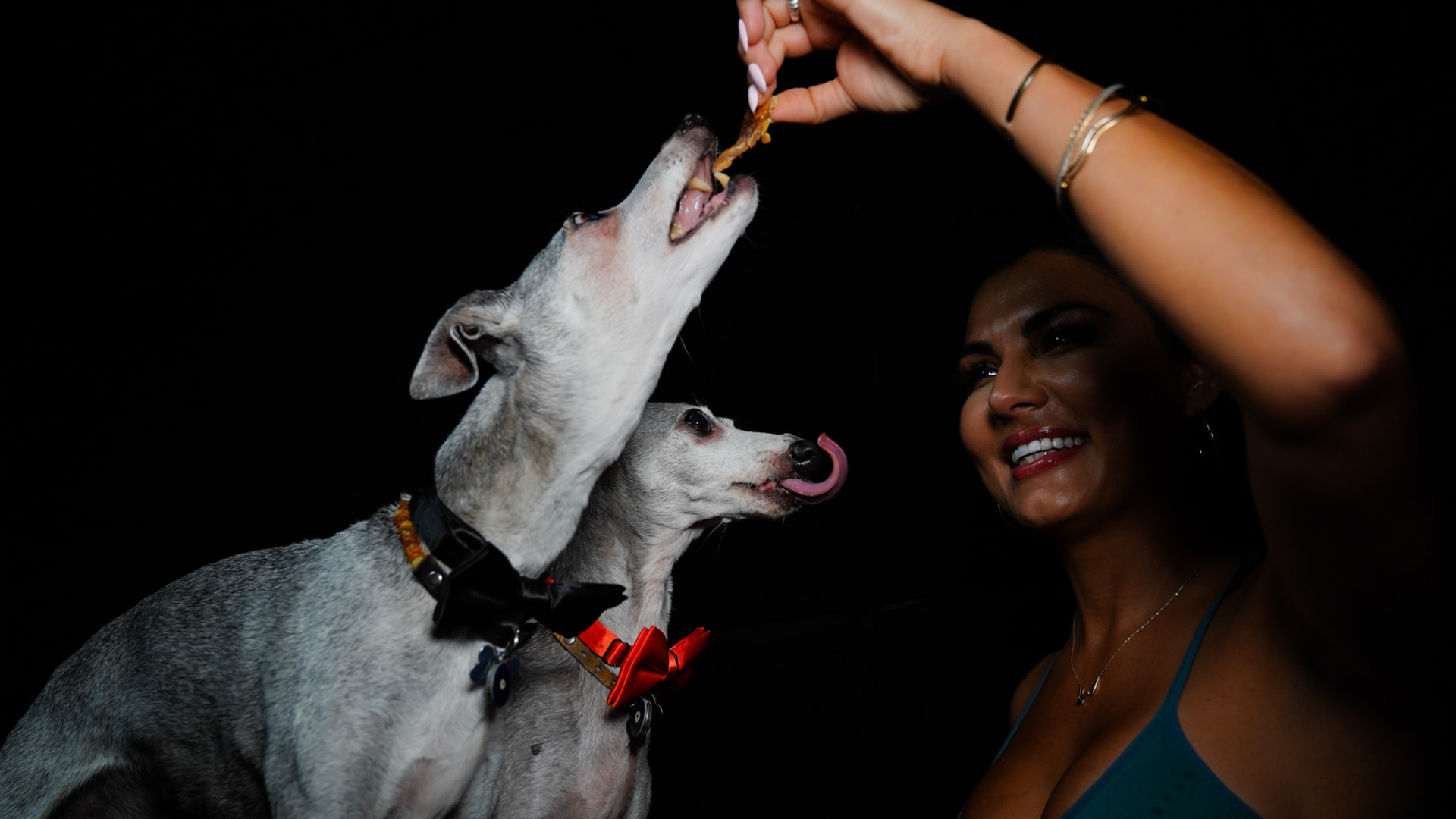 Elmira offering a treat to both greyhounds during Pack Hour