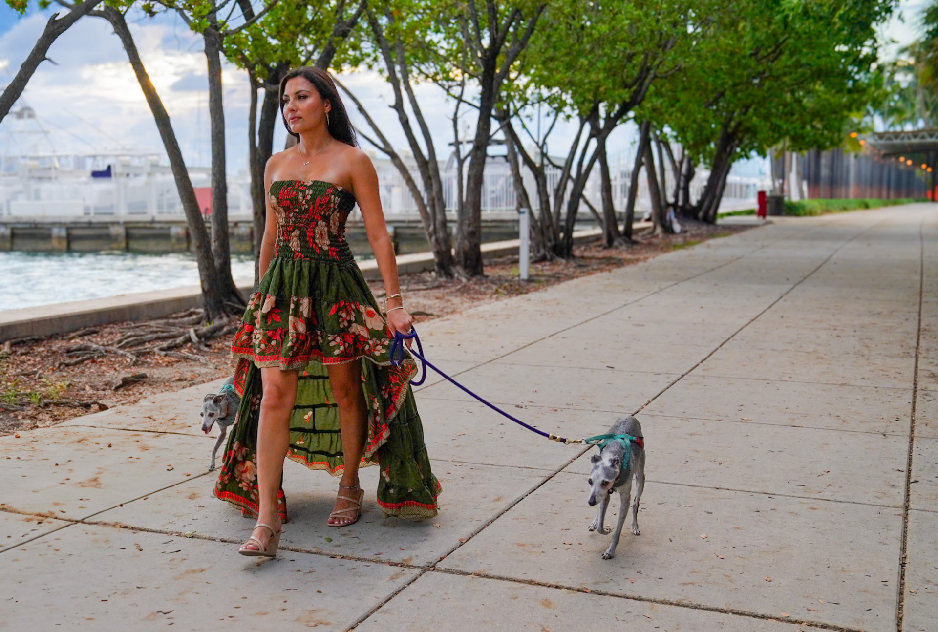 Elmira walking both greyhounds along a waterfront path in the early evening